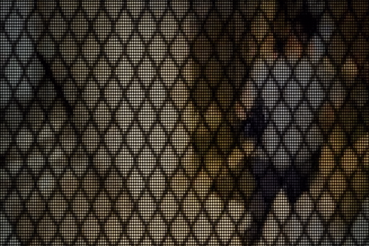 Quedó preso el acusado de abusar de una joven en un ascensor