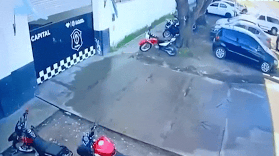 FLOR DE REGALO: robo un ramo y fue en cana 🌸🚓