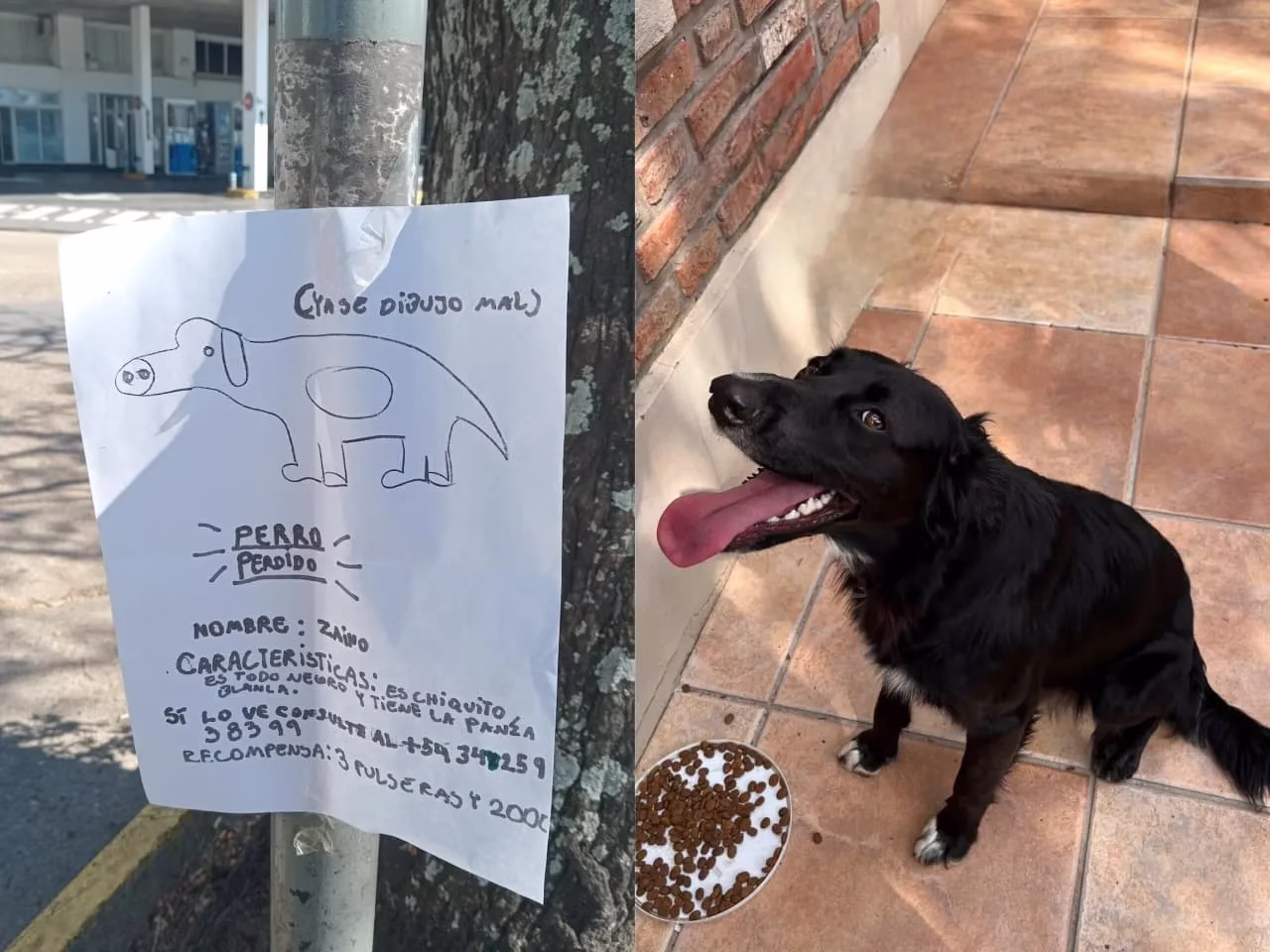 El cartel más tierno de Santa Fe tuvo final feliz: APARECIÓ ZAINO 😍