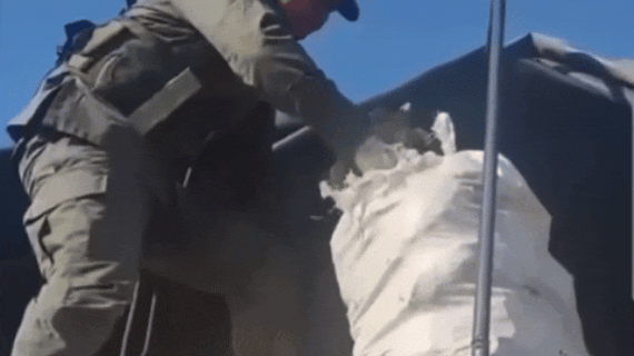 TOTORAS: gendarmería rescató más de 160 tortugas ocultas en un camión de cebollas