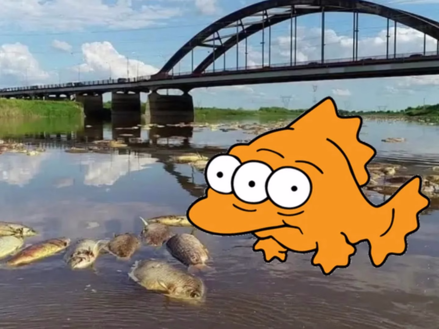 Alarma en el Salado: advierten que el sábalo está contaminado con plaguicidas ⚠️