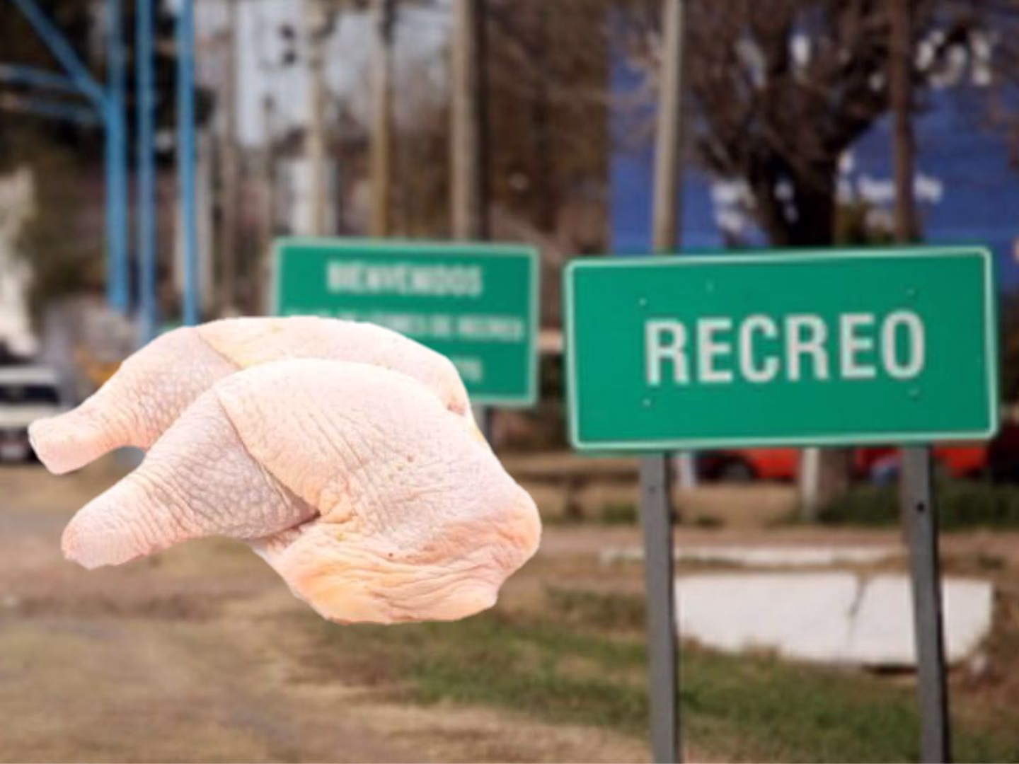 Robo en una pollería de Recreo: se llevaron plata, balanzas y hasta el pollo 🍗💸
