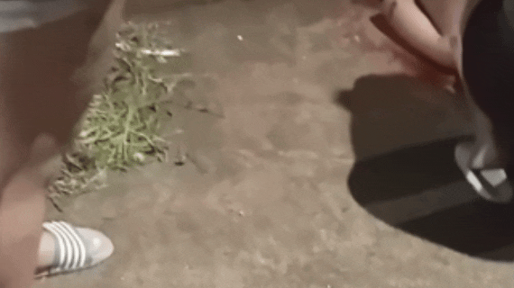 Accidente en Santa Rosa de Lima: un patrullero chocó a un chico