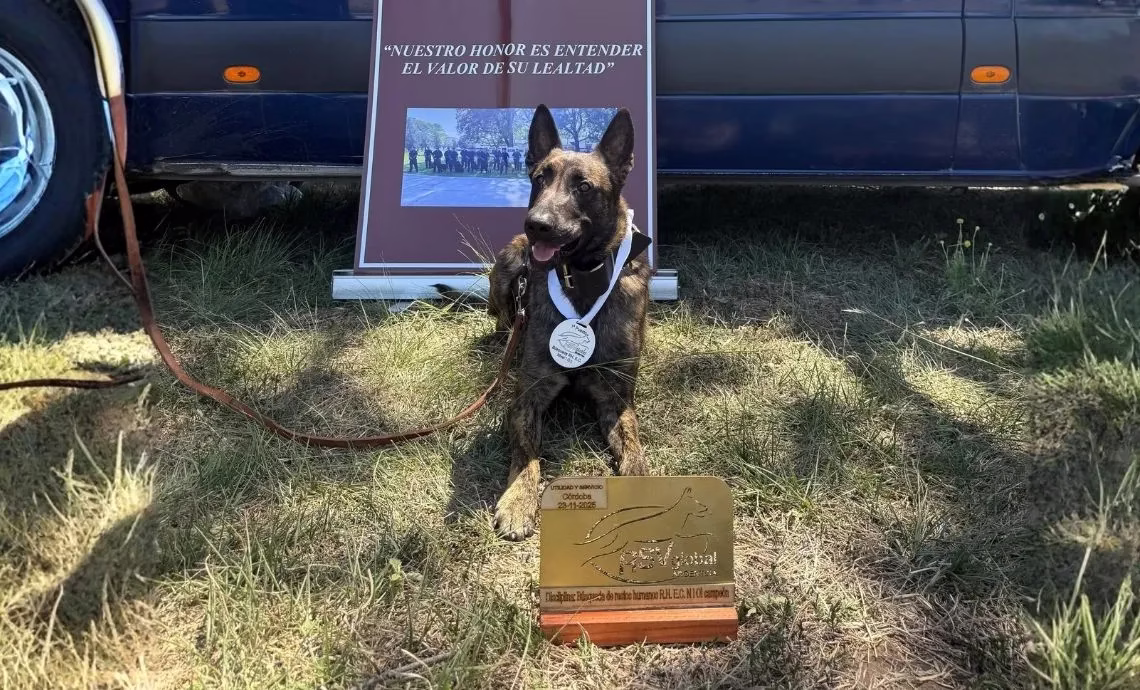 Otra coronación de gloria: NEWEN ganó campeonato de perros policias