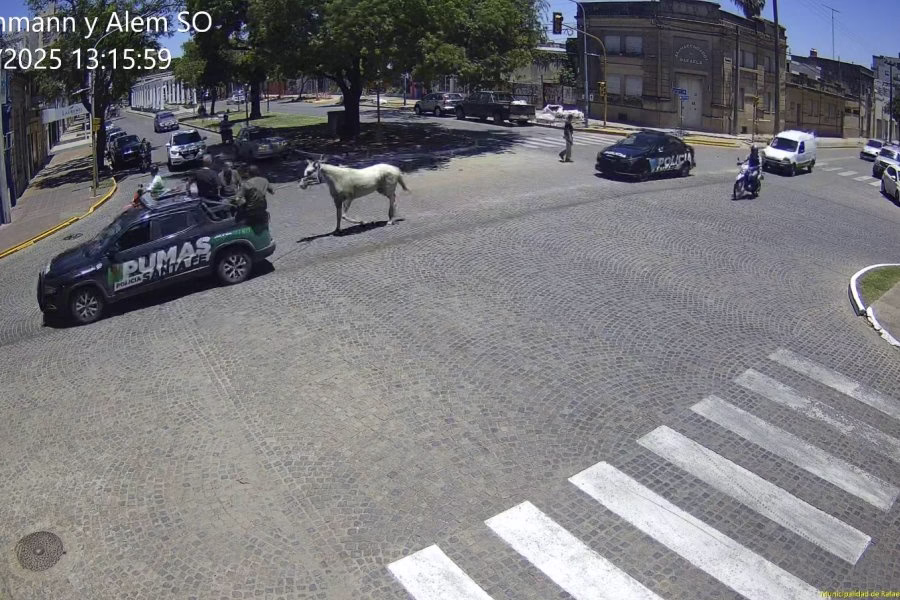 RAFAELA: Caballo suelto en pleno centro y operativo digno de película 🐎🚨