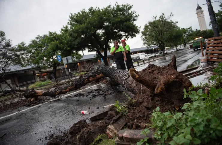 Rosario voló (literal): ráfagas de 102 km/h y más de 100 reclamos 🌪️🌧️